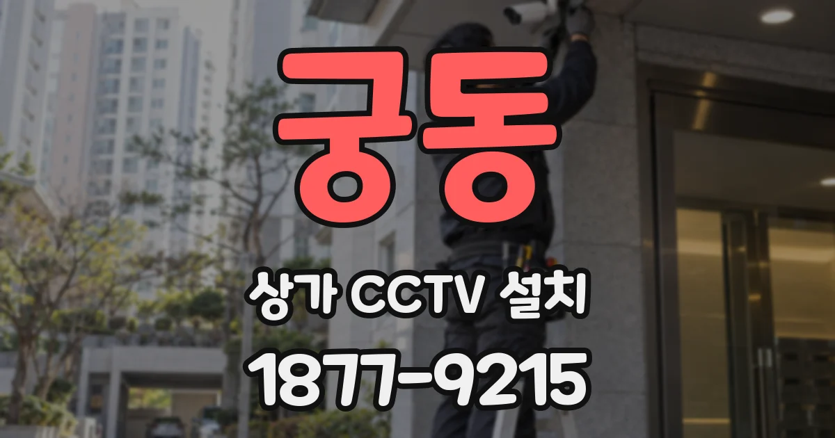 궁동 상가 CCTV 설치