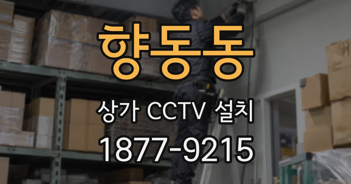 향동동 상가 CCTV 설치