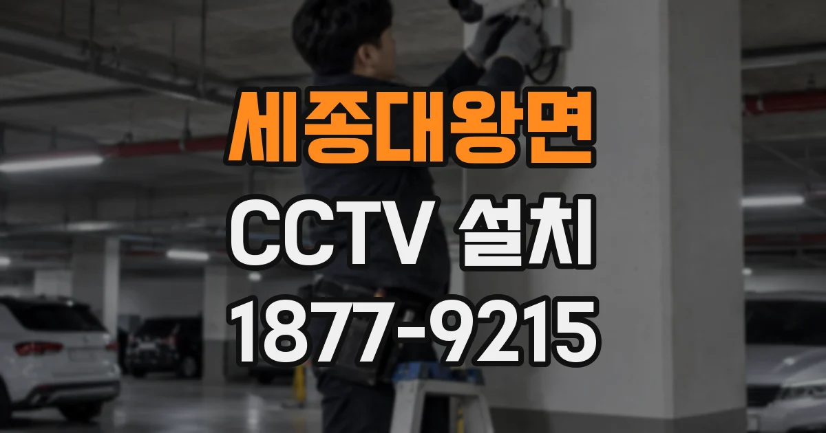 세종대왕면 CCTV 설치