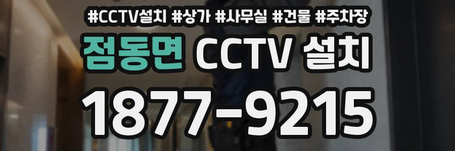 점동면 CCTV 설치