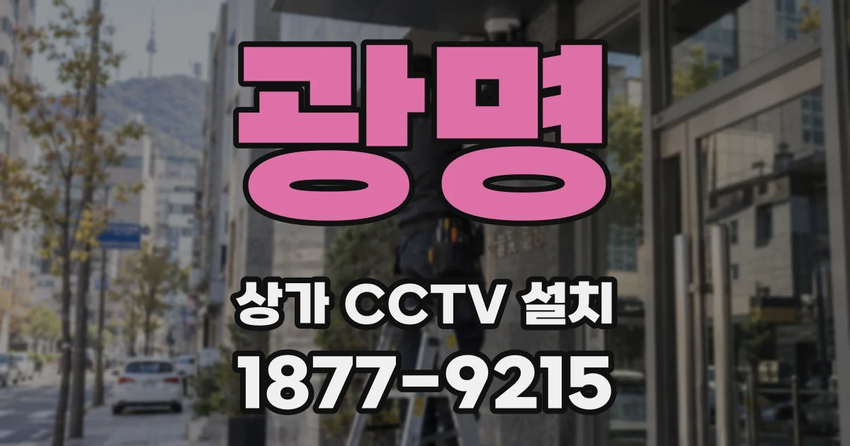 광명 상가 CCTV 설치