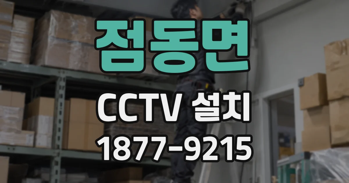 점동면 CCTV 설치