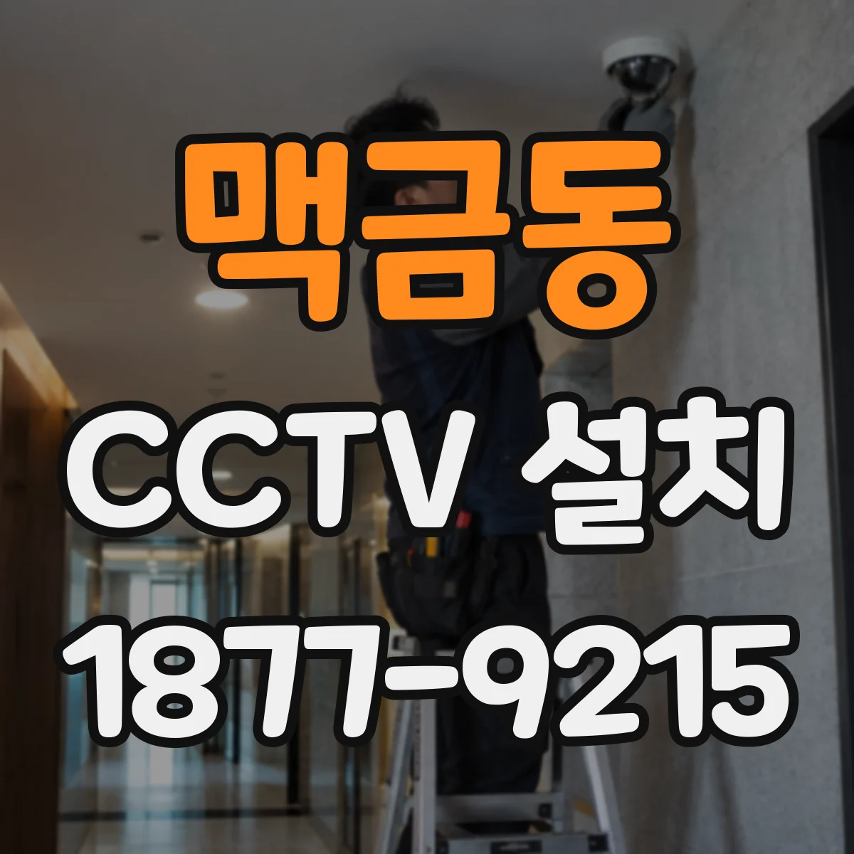 맥금동 CCTV 설치