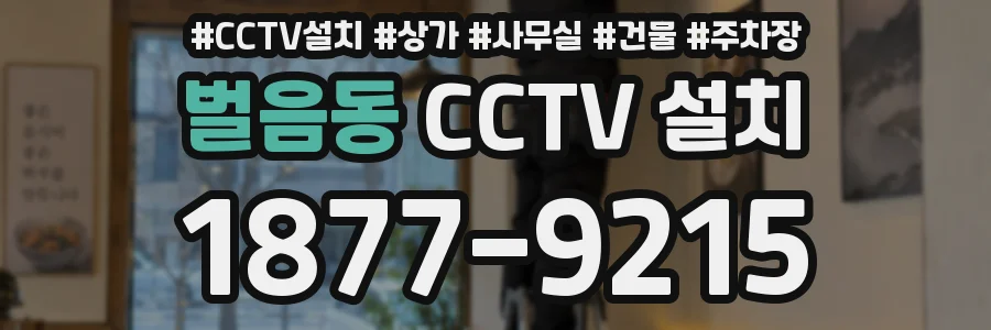벌음동 CCTV 설치