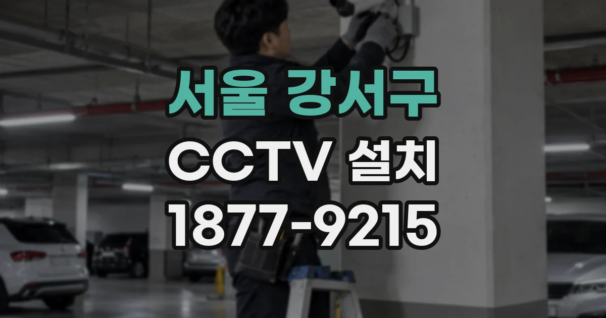 서울 강서구 CCTV 설치