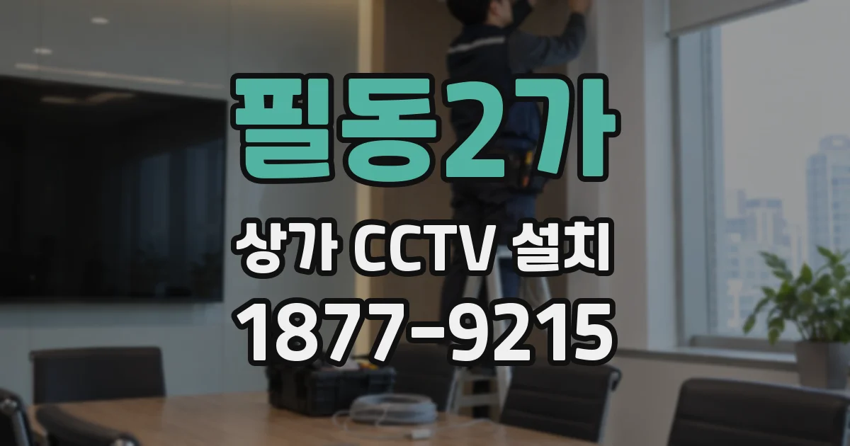 필동2가 상가 CCTV 설치