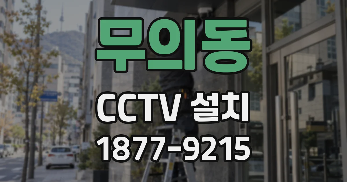 무의동 CCTV 설치