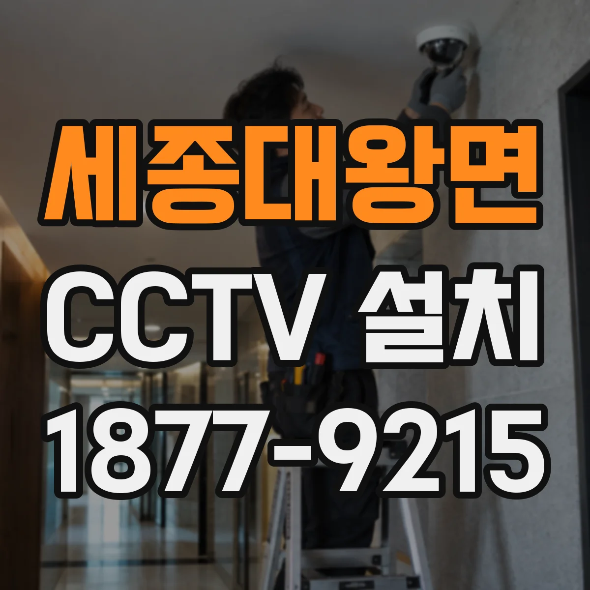 세종대왕면 CCTV 설치