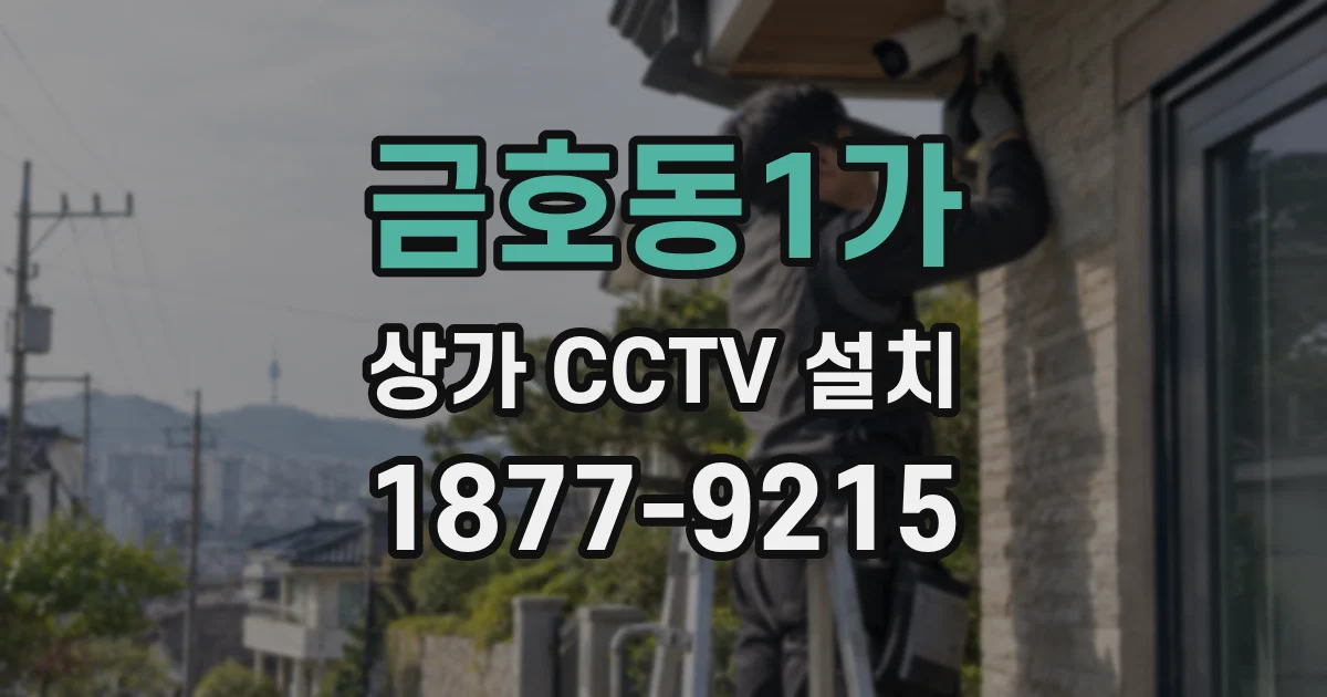 금호동1가 상가 CCTV 설치