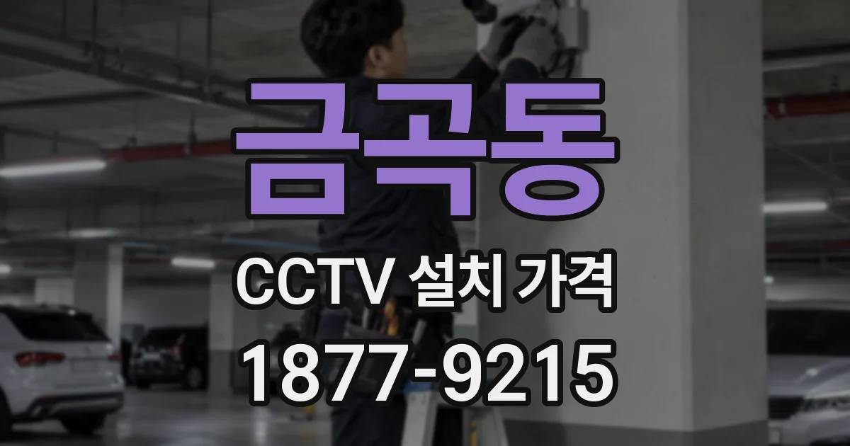 금곡동 CCTV 설치 가격