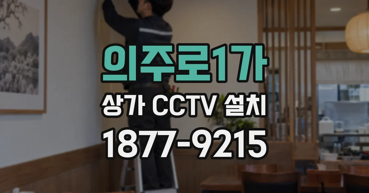 의주로1가 상가 CCTV 설치