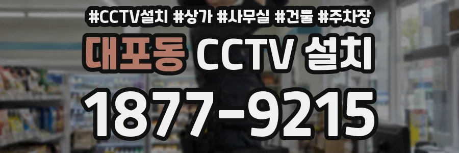 대포동 CCTV 설치