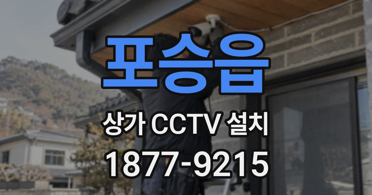 포승읍 상가 CCTV 설치