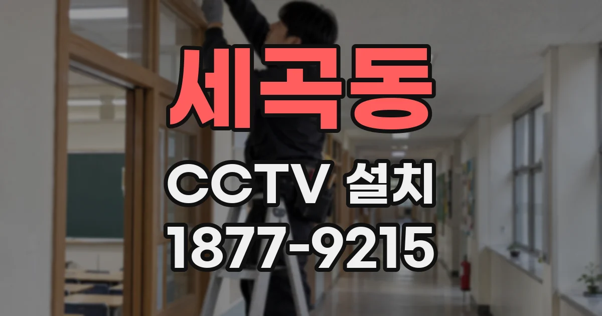 세곡동 CCTV 설치