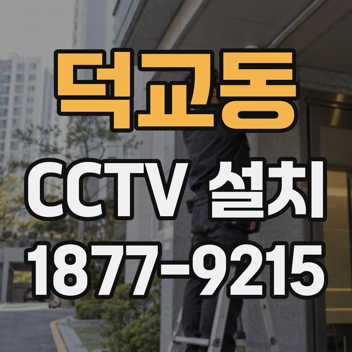 덕교동 CCTV 설치