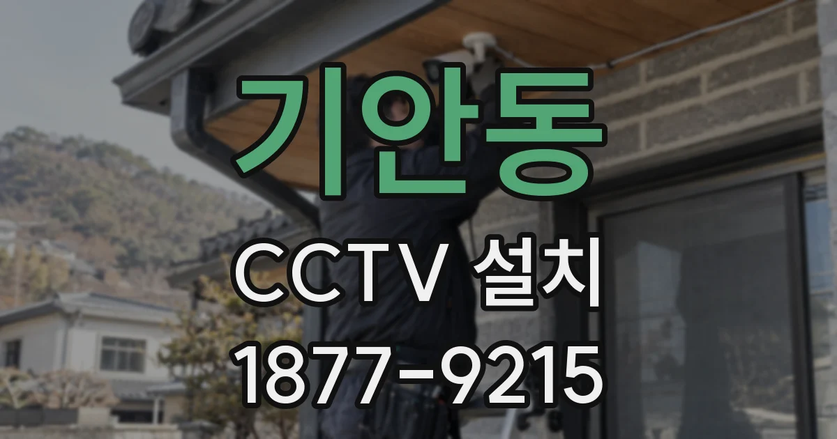기안동 CCTV 설치