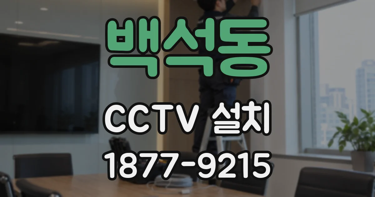 백석동 CCTV 설치
