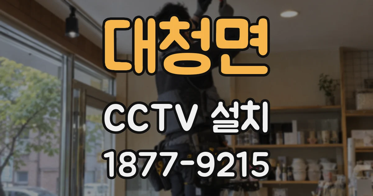 대청면 CCTV 설치