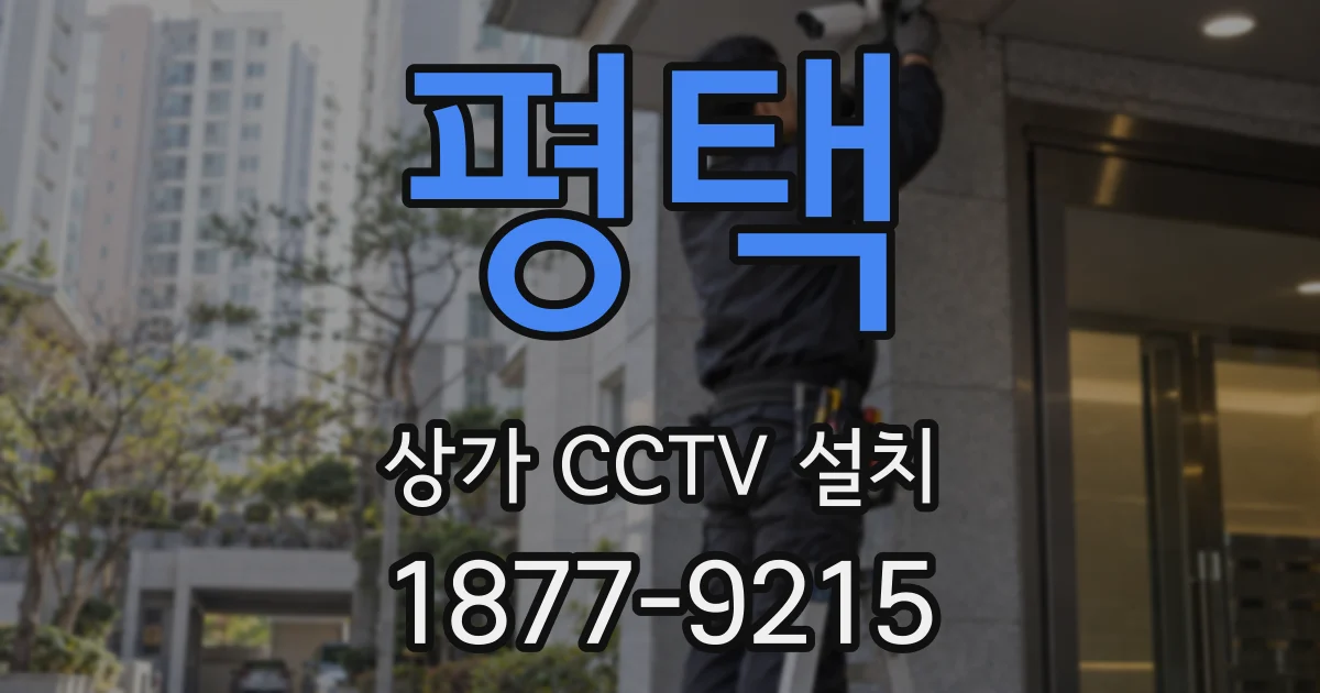평택 상가 CCTV 설치