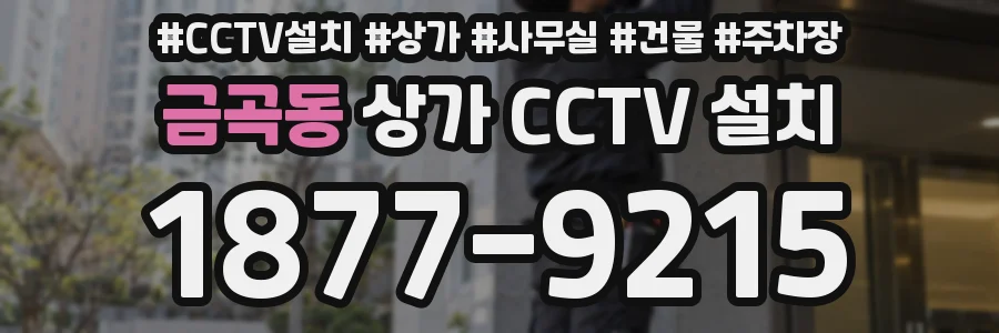 금곡동 상가 CCTV 설치