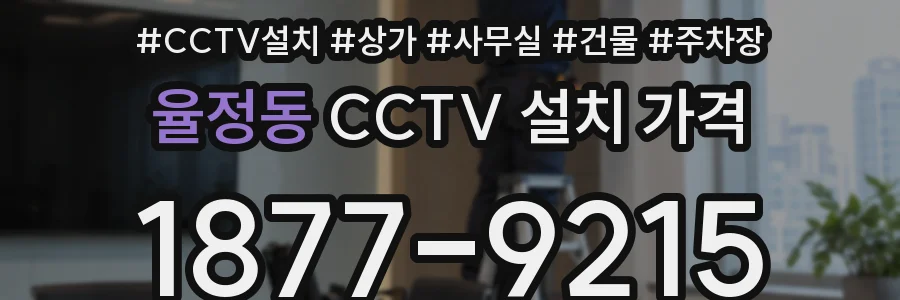 율정동 CCTV 설치 가격