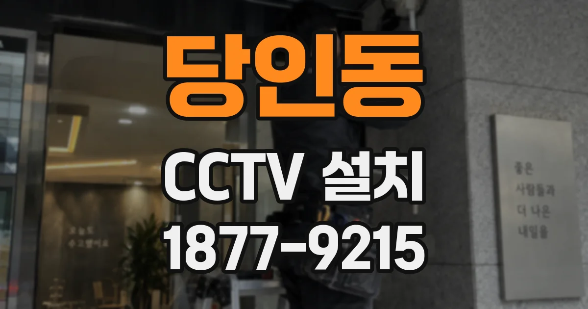 당인동 CCTV 설치