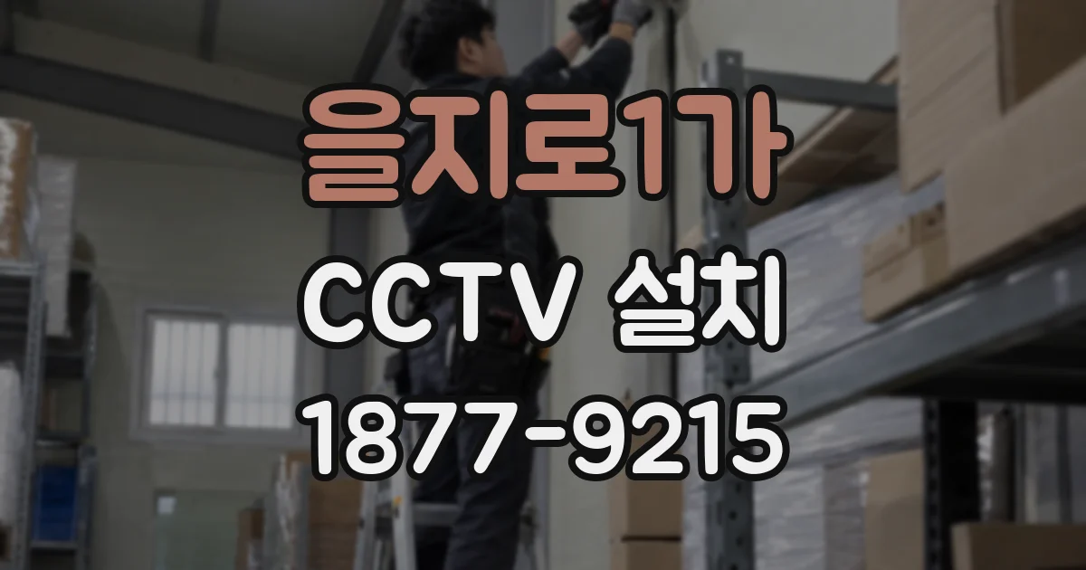 을지로1가 CCTV 설치