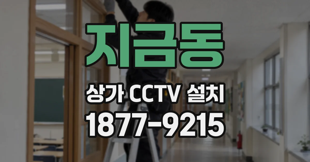 지금동 상가 CCTV 설치