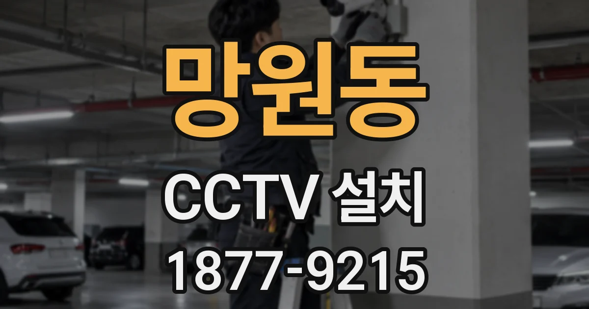 망원동 CCTV 설치
