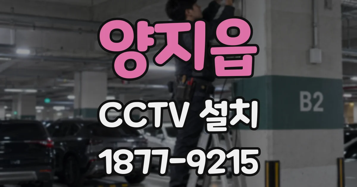양지읍 CCTV 설치