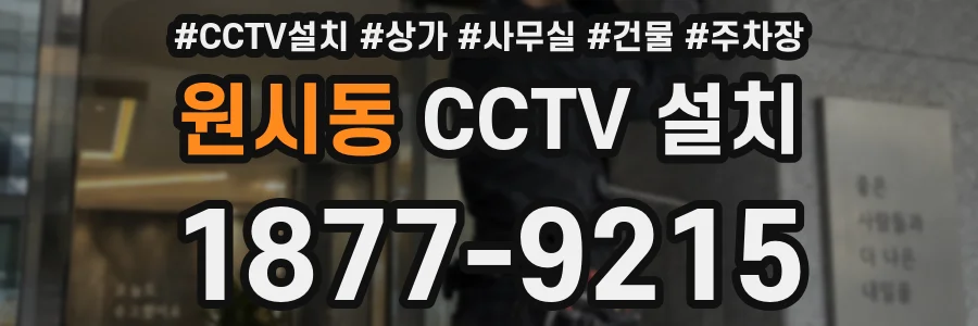 원시동 CCTV 설치