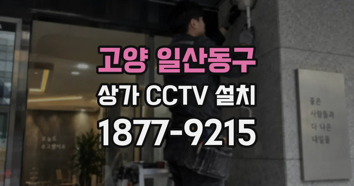 고양 일산동구 상가 CCTV 설치