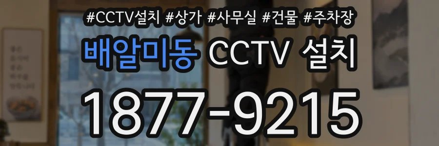 배알미동 CCTV 설치