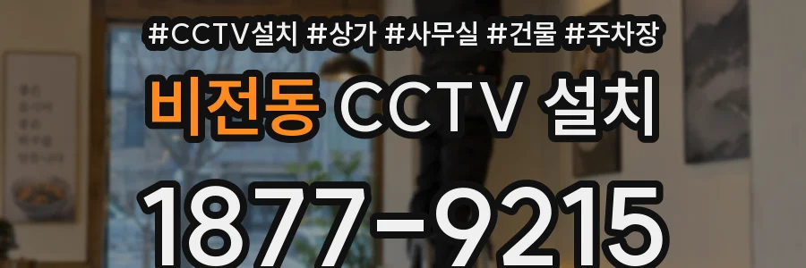 비전동 CCTV 설치
