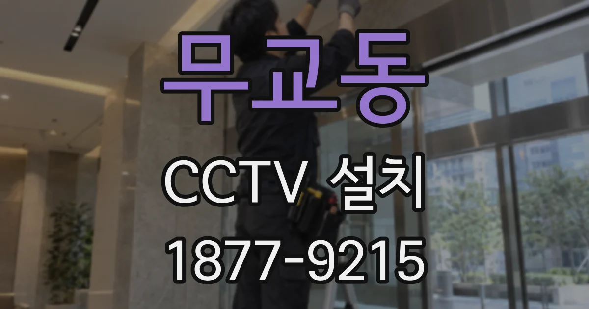 무교동 CCTV 설치