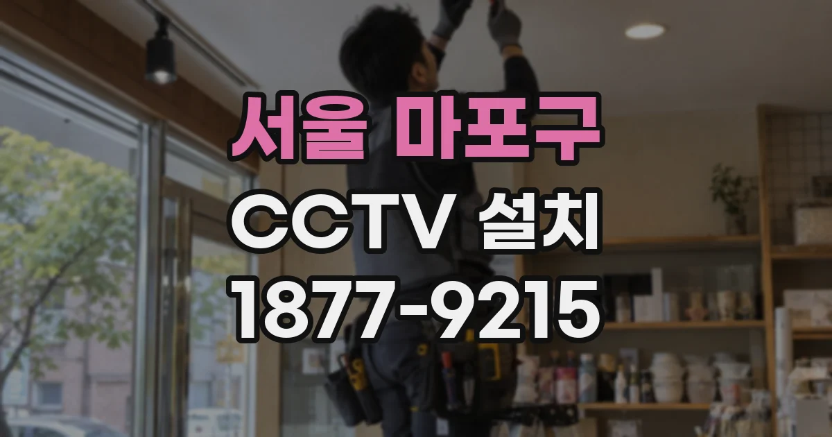 서울 마포구 CCTV 설치