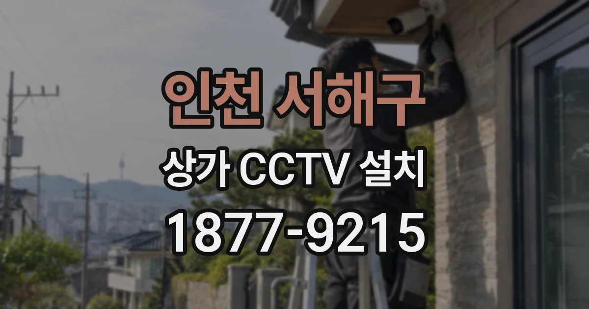 인천 서해구 상가 CCTV 설치