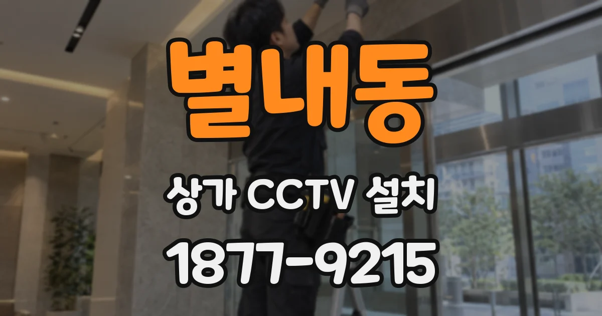 별내동 상가 CCTV 설치