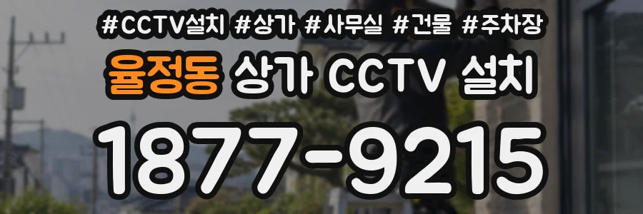 율정동 상가 CCTV 설치