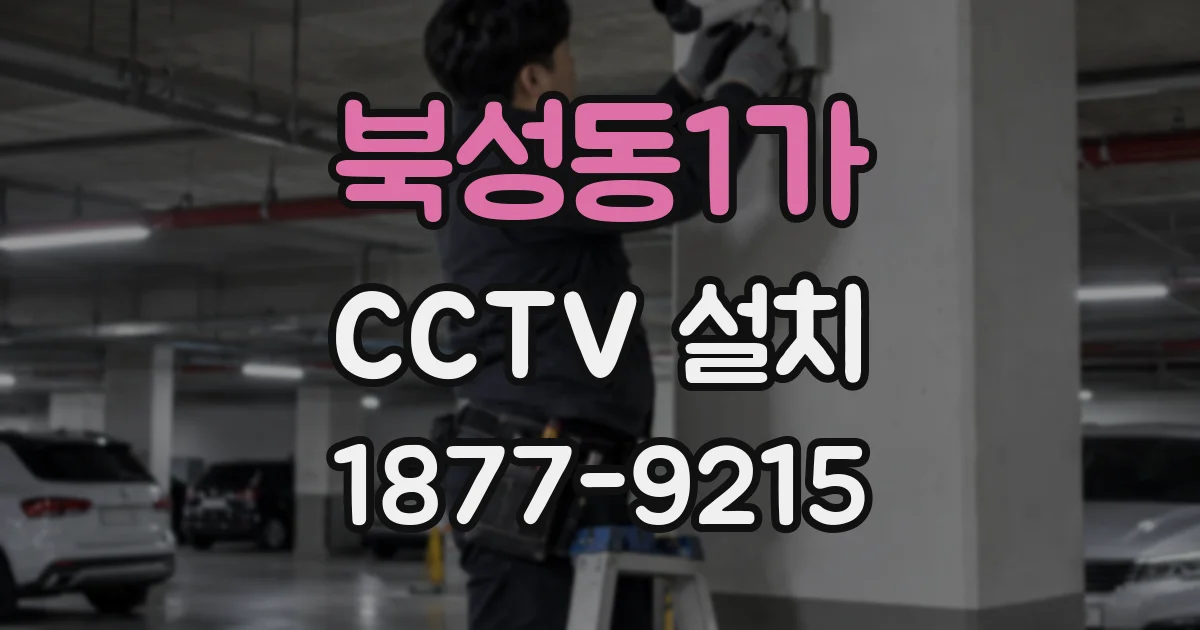 북성동1가 CCTV 설치