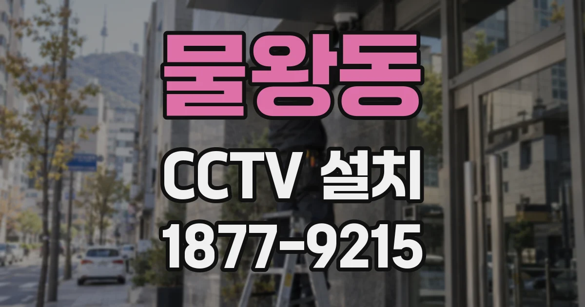 물왕동 CCTV 설치