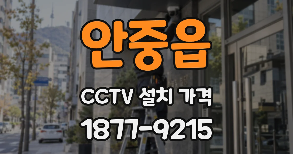 안중읍 CCTV 설치 가격