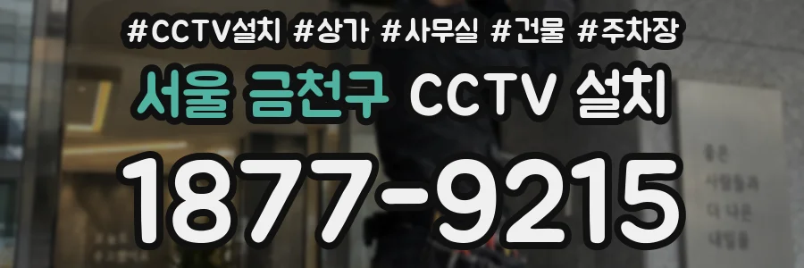 서울 금천구 CCTV 설치