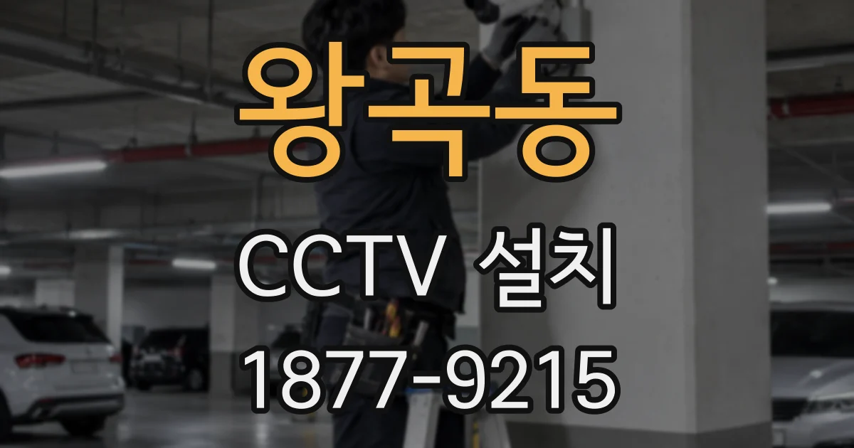 왕곡동 CCTV 설치