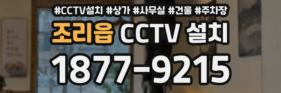 조리읍 CCTV 설치