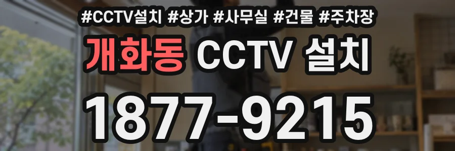 개화동 CCTV 설치