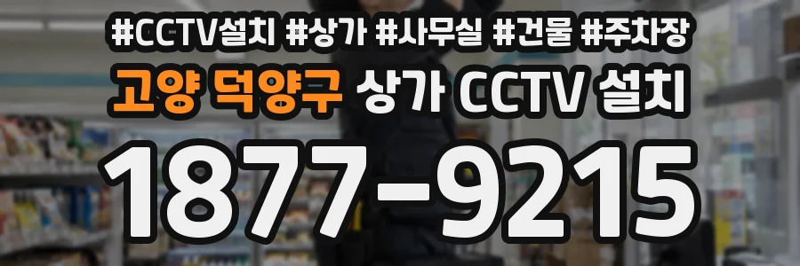 고양 덕양구 상가 CCTV 설치