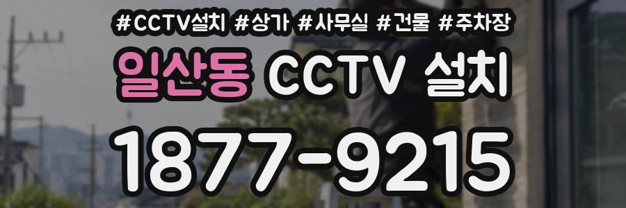 일산동 CCTV 설치