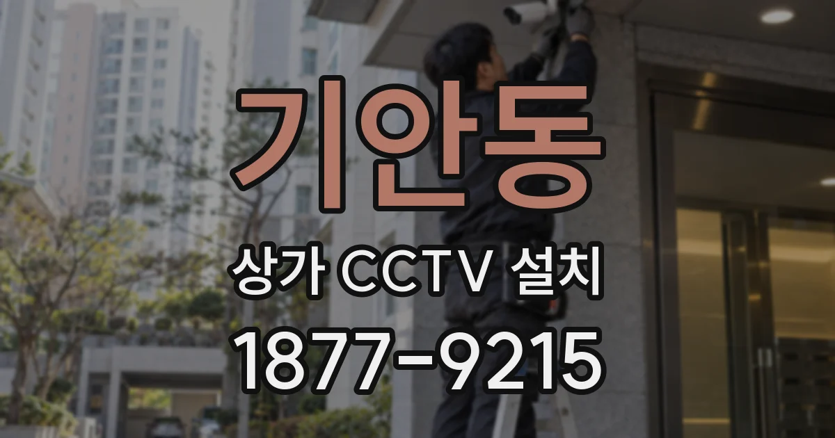 기안동 상가 CCTV 설치