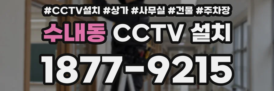 수내동 CCTV 설치